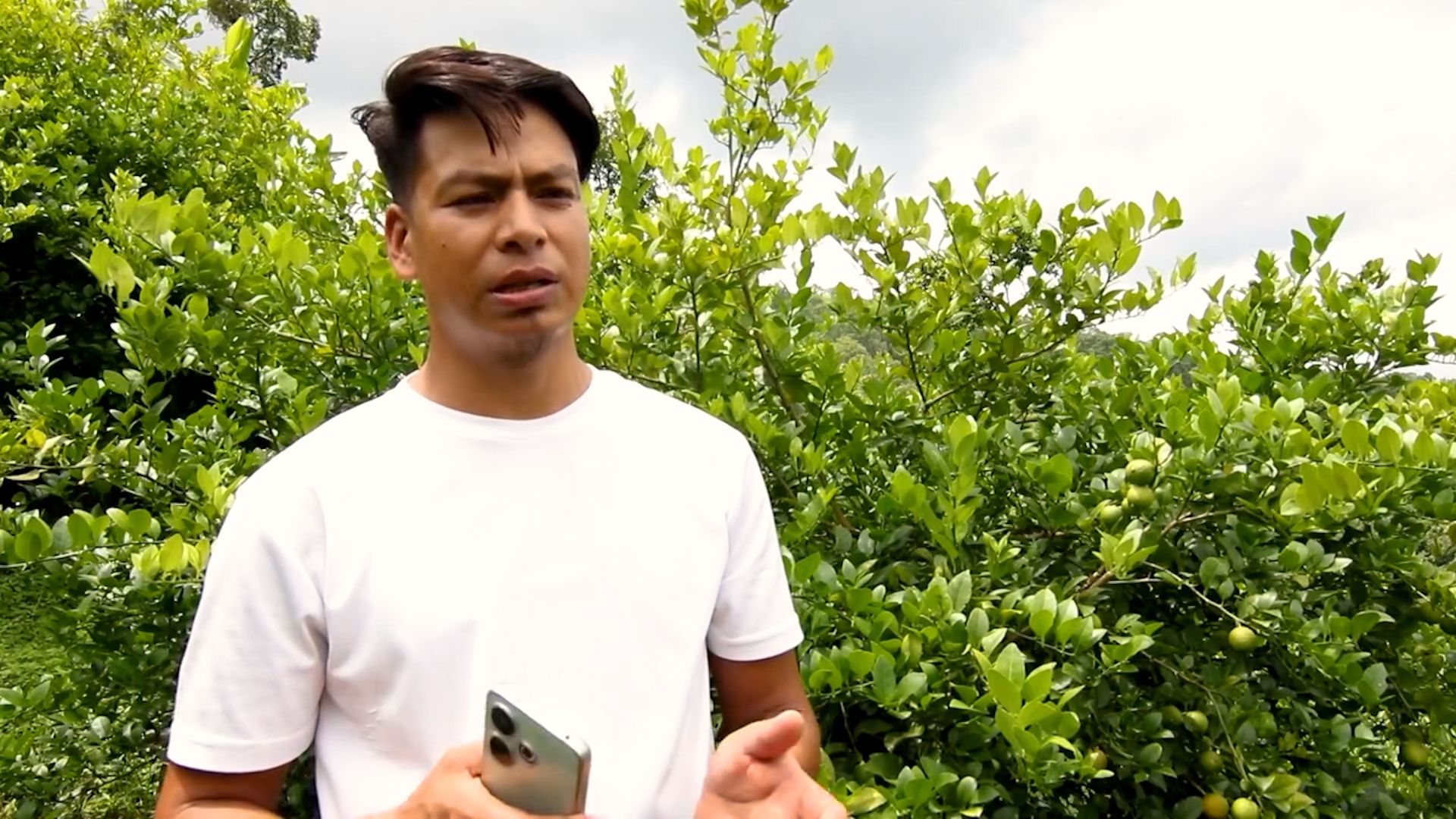 बाँदरको सास्तीबाट मुक्ति दिलाउँदै कागती खेती : रामेछापका कृषकको बदलिँदो रोजाइ